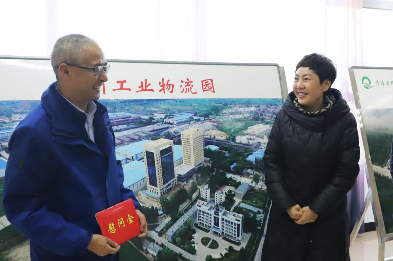 省國(guó)資委領(lǐng)導(dǎo)走訪慰問(wèn)物產(chǎn)集團(tuán)專(zhuān)家人才及困難黨員