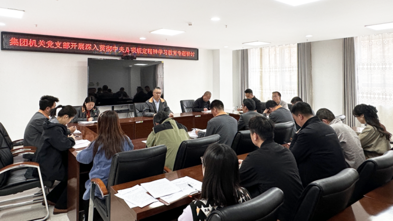 集團(tuán)機(jī)關(guān)黨支部開(kāi)展深入貫徹中央八項(xiàng)規(guī)定精神學(xué)習(xí)教育專(zhuān)題研討