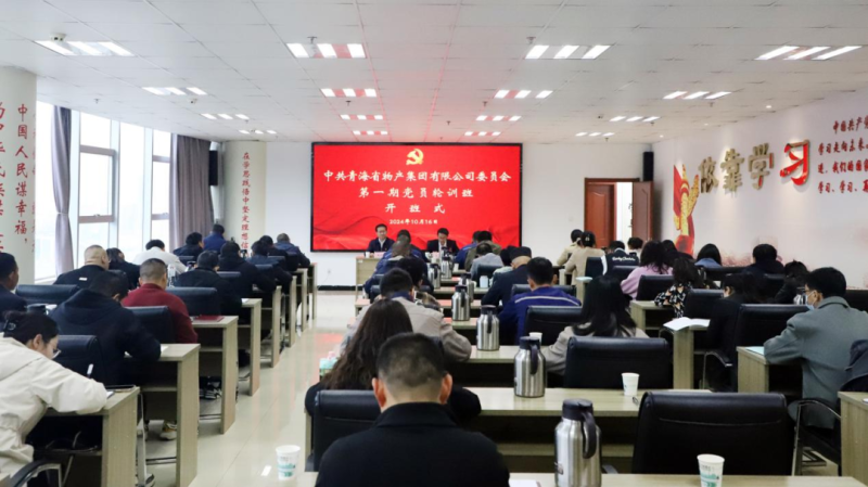 鑄魂強基 聚力賦能&mdash;&mdash;集團(tuán)黨委2024年第一期黨員輪訓(xùn)班圓滿結(jié)束